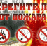Огонь в поле – причина пожара в лесу - Учалинский район