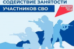 О новых мерах поддержки участников СВО в сфере занятости